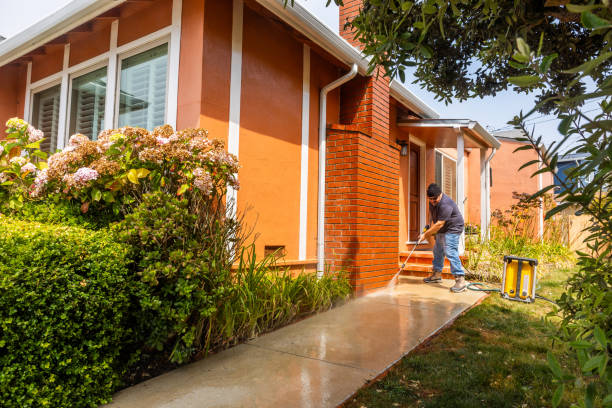 Best Residential Pressure Washing Services  in West Frankfort, IL